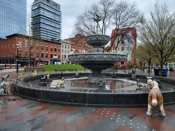 Sometimes life does its own thing: Recent goings-on