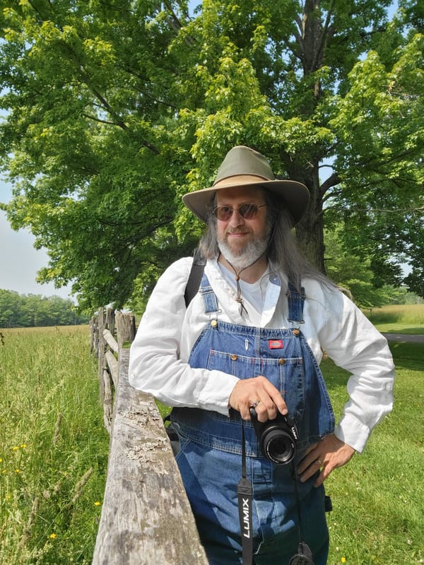 "We are mosaics -- pieces of light, love, history, stars -- glued together with magic and music and words." --Anita Krizzan